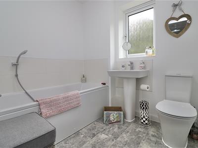 Picture 21